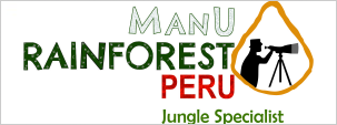 >Manu Rainforest Peru